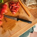 Functional Form Tomato knife (8604061)